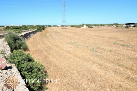 Продажа земельного участка в Сьютаделья-де-Менорка, Менорка, Испания 29583м2 №46970 - фото 5