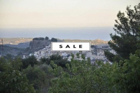 Продажа земельного участка в Полоп, Аликанте, Испания №45897 - фото 4