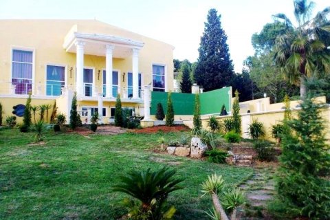 Продажа виллы Аликанте, Испания 8 спален, 1.68м2 №44963 - фото 1