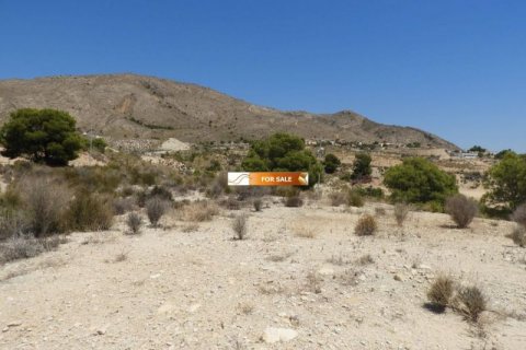 Продажа земельного участка в Финестрат, Аликанте, Испания №45091 - фото 8