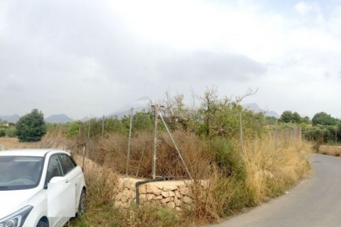 Продажа земельного участка в Альфас-дель-Пи, Аликанте, Испания №44538 - фото 2