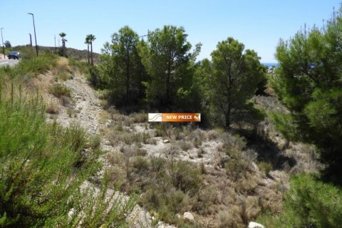 Продажа земельного участка в Финестрат, Аликанте, Испания №45087 - фото 7