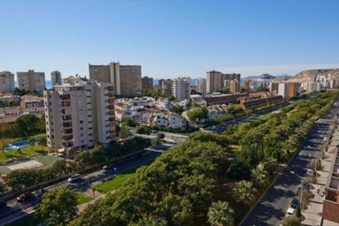 Продажа квартиры Аликанте, Испания 3 спальни, 107м2 №45863 - фото 6