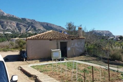 Продажа земельного участка в Алтея, Аликанте, Испания №44058 - фото 7