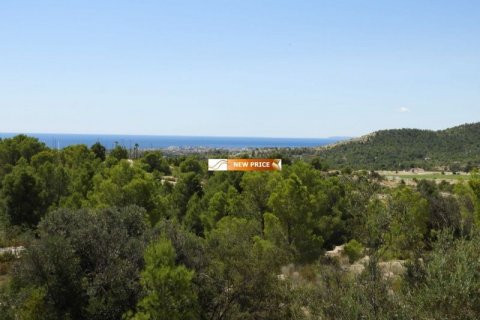 Продажа земельного участка в Финестрат, Аликанте, Испания №45079 - фото 1