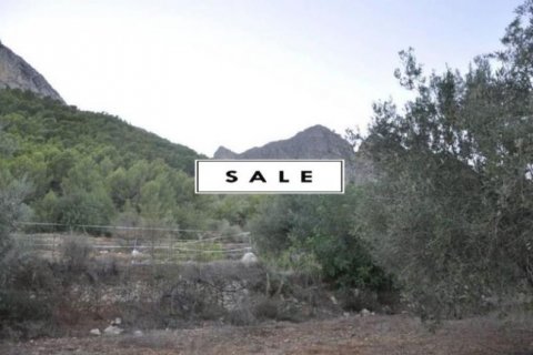 Продажа земельного участка в Полоп, Аликанте, Испания №45897 - фото 7