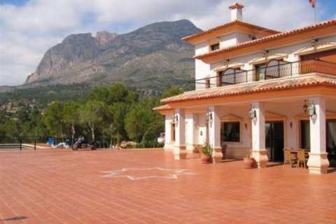 Продажа отеля в Финестрат, Аликанте, Испания 13 спален, 1000м2 №44078 - фото 10