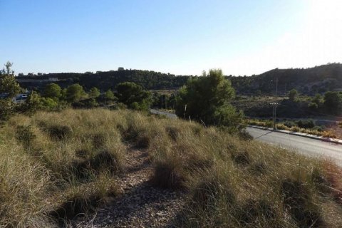 Продажа земельного участка в Финестрат, Аликанте, Испания №45082 - фото 6