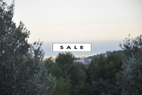 Продажа земельного участка в Полоп, Аликанте, Испания №45897 - фото 3