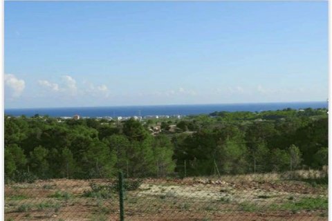 Продажа земельного участка в Ла Нусия, Аликанте, Испания №43551 - фото 2