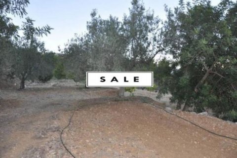 Продажа земельного участка в Полоп, Аликанте, Испания №45897 - фото 6