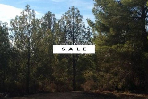 Продажа земельного участка в Полоп, Аликанте, Испания №45906 - фото 3