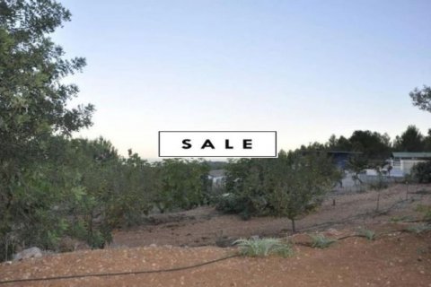 Продажа земельного участка в Полоп, Аликанте, Испания №45897 - фото 5