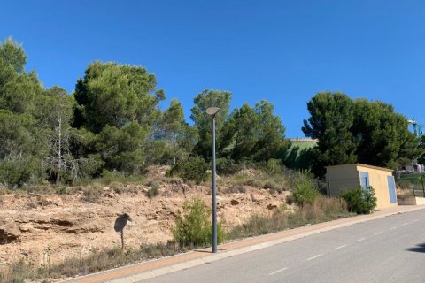 Продажа земельного участка в Финестрат, Аликанте, Испания №42638 - фото 4