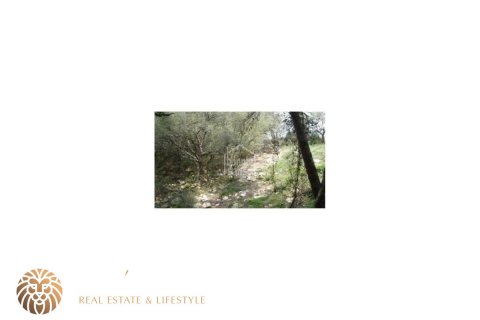 Продажа земельного участка в Феррери, Менорка, Испания 2375м2 №46953 - фото 3