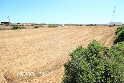 Продажа земельного участка в Сьютаделья-де-Менорка, Менорка, Испания 29583м2 №46970 - фото 4