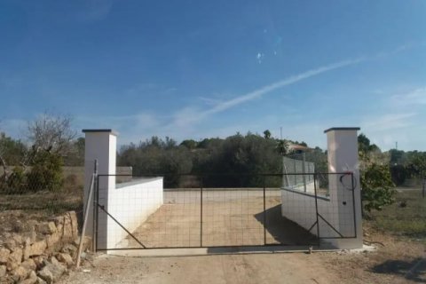 Продажа земельного участка в Алтея, Аликанте, Испания №44058 - фото 10