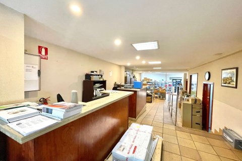 Продажа коммерческой недвижимости в Пальма-де-Майорка, Майорка, Испания 341м2 №47810 - фото 1