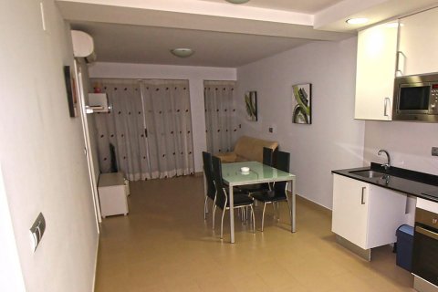 Продажа квартиры в Бенидорм, Аликанте, Испания 2 спальни,  №50721 - фото 7