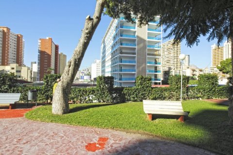 Продажа квартиры в Ринкон де Лойкс, Аликанте, Испания 3 спальни,  №50701 - фото 24
