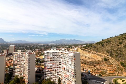 Продажа квартиры в Бенидорм, Аликанте, Испания 2 спальни,  №50714 - фото 11