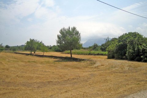 Продажа земельного участка в Дения, Аликанте, Испания №50223 - фото 5