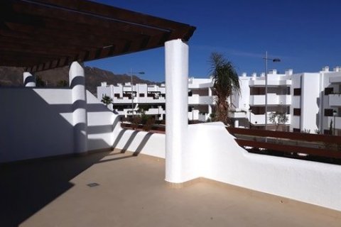 Продажа виллы в Сан Хуан де лос Террерос, Альмерия, Испания 2 спальни, 203м2 №50333 - фото 27