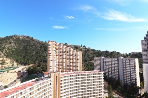 Продажа квартиры в Бенидорм, Аликанте, Испания 2 спальни,  №50714 - фото 27
