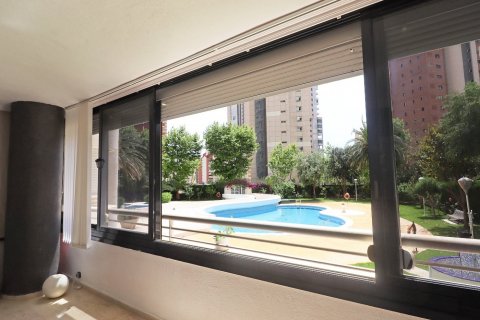 Продажа квартиры в Бенидорм, Аликанте, Испания 2 спальни,  №50709 - фото 23