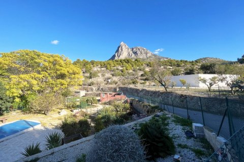 Продажа дома в Финестрат, Аликанте, Испания 4 спальни, 900м2 №50711 - фото 7