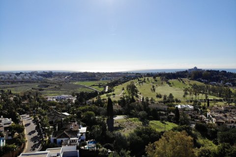 Продажа земельного участка в Бенахавис, Малага, Испания №53547 - фото 4
