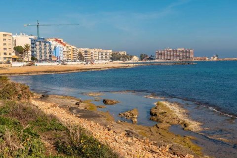 CBRE: В 2022 году инвестиции в сектор коливинга/со-владения недвижимостью в Испании выросли до 430 миллионов евро