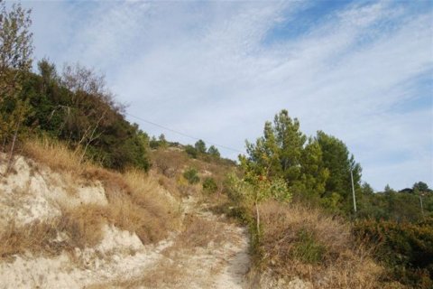 Продажа земельного участка в Бенисса, Аликанте, Испания №54483 - фото 9