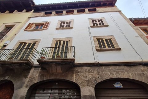 Продажа коммерческой недвижимости в Пальма-де-Майорка, Майорка, Испания 231м2 №59721 - фото 2