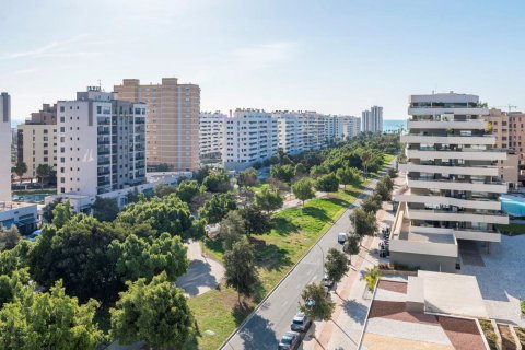 Продажа квартиры в Сан-Хуан, Аликанте, Испания 2 спальни, 203м2 №59382 - фото 9