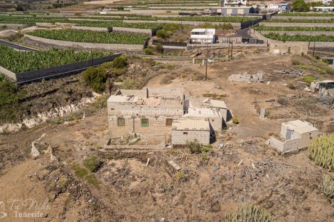 Продажа земельного участка в Тиджоко Бахо, Тенерифе, Испания 115м2 №59862 - фото 3