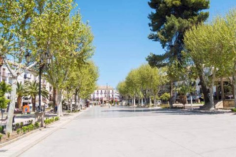 Пасео-де-Грасия обогнала Портал-де-л'Анхель в гонке самых дорогих торговых проспектов Испании