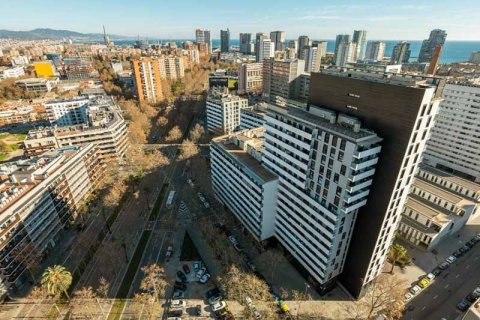 Год «совместности» на испанском рынке недвижимости: Расцвет совместного жилья, проживания и собственности