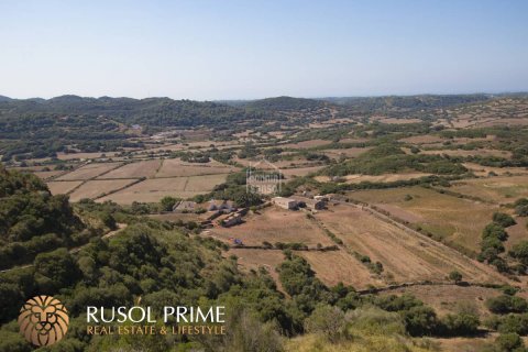 Finca till salu Ferreries, Menorca, Spanien 10 sovrum, 1085 kvm. Nr. 10950 - foto 14