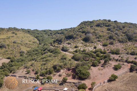 Finca till salu Ferreries, Menorca, Spanien 10 sovrum, 1085 kvm. Nr. 10950 - foto 12