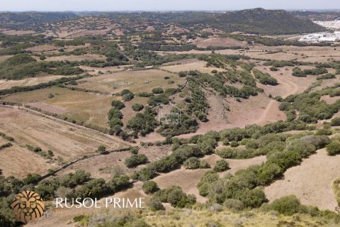 Finca till salu Ferreries, Menorca, Spanien 10 sovrum, 1085 kvm. Nr. 10950 - foto 10