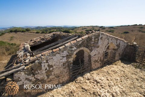 Finca till salu Ferreries, Menorca, Spanien 10 sovrum, 1085 kvm. Nr. 10950 - foto 16