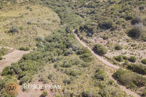 Finca till salu Ferreries, Menorca, Spanien 10 sovrum, 1085 kvm. Nr. 10950 - foto 11