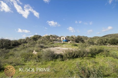 Finca till salu i Mahon, Menorca, Spanien 5 sovrum, 487 kvm. Nr. 11103 - foto 10