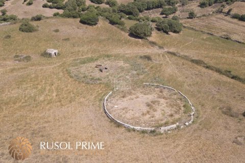 Finca till salu Ferreries, Menorca, Spanien 10 sovrum, 1085 kvm. Nr. 10950 - foto 4