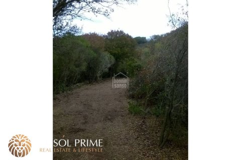 Finca till salu i Mahon, Menorca, Spanien 5 sovrum, 487 kvm. Nr. 11103 - foto 4