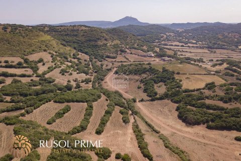 Finca till salu Ferreries, Menorca, Spanien 10 sovrum, 1085 kvm. Nr. 10950 - foto 8