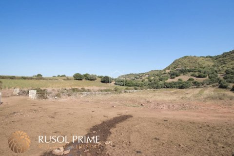 Finca till salu Ferreries, Menorca, Spanien 10 sovrum, 1085 kvm. Nr. 10950 - foto 17