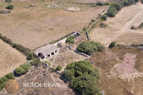 Finca till salu Ferreries, Menorca, Spanien 10 sovrum, 1085 kvm. Nr. 10950 - foto 5