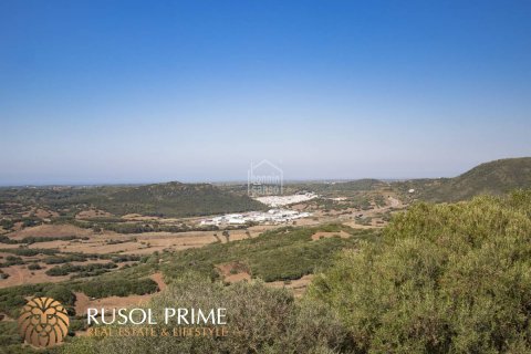 Finca till salu Ferreries, Menorca, Spanien 10 sovrum, 1085 kvm. Nr. 10950 - foto 15